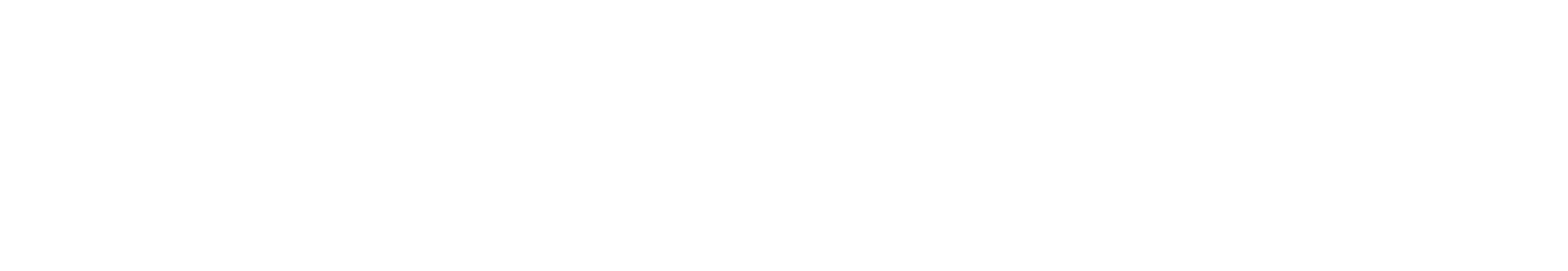 Vietcetera